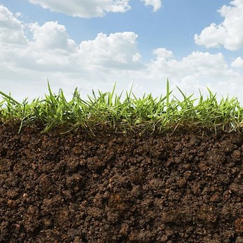 Dunning Custom Soils has solutions for ball fields, golf courses, structural, reinforced and bioretention soils